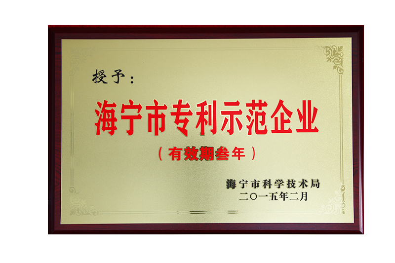 海寧市專利示範企業