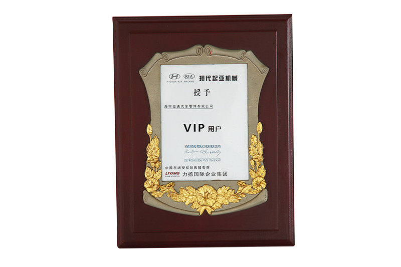 現代起亞機械授予茲VIP用戶（hù）