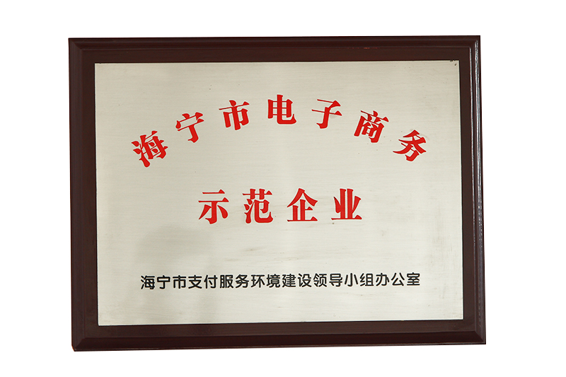 海（hǎi）寧市電子商務示（shì）範企（qǐ）業