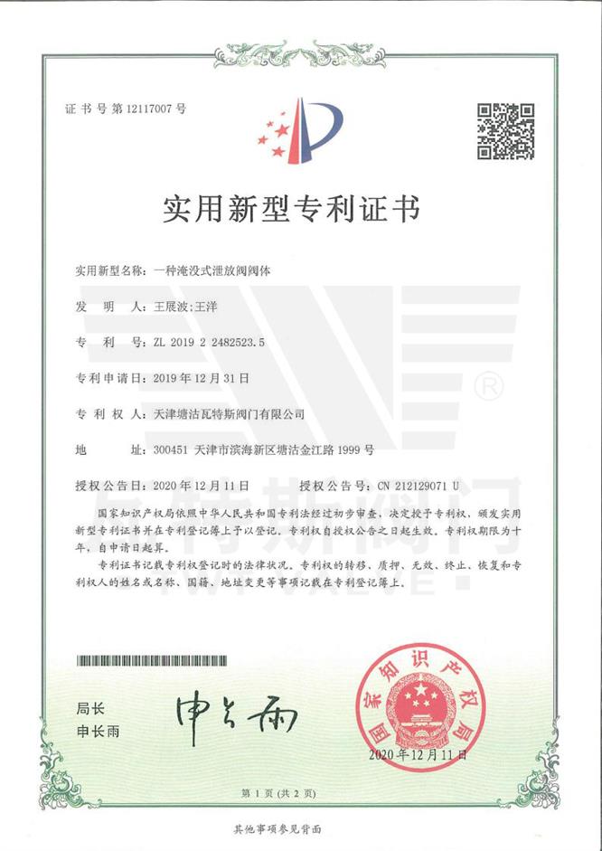 一（yī）種淹沒式泄放閥閥（fá）體