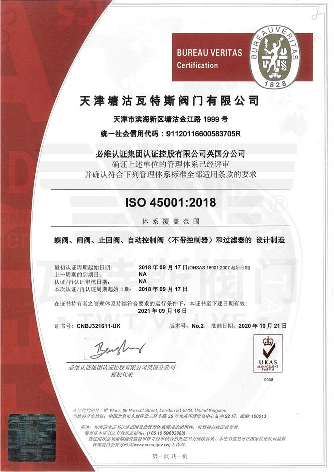 ISO-45001必維認證（zhèng）中文